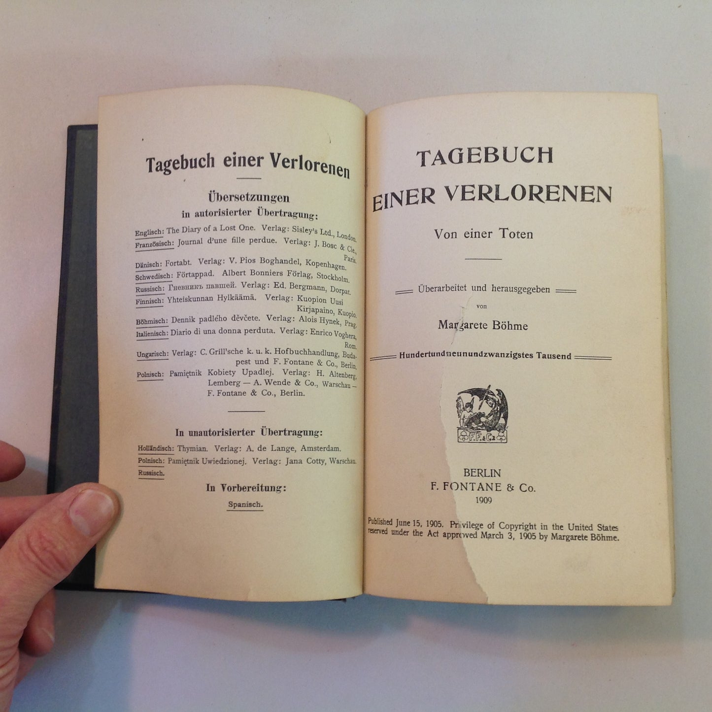 Vintage 1909 Hardcover Tagebuch Einer Verlorenen (Diary of a Lost Girl) Von Einer Toten German Language Book