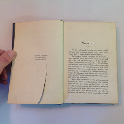 Vintage 1909 Hardcover Tagebuch Einer Verlorenen (Diary of a Lost Girl) Von Einer Toten German Language Book