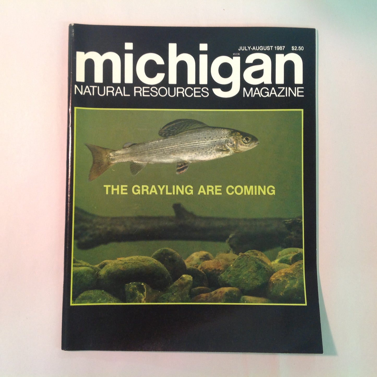 Vintage Jul-Aug 1987 Michigan Natural Resources Magazine The Graylings Are Coming