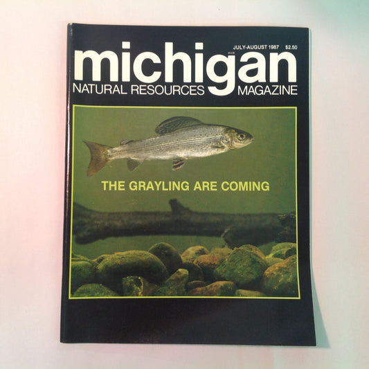 Vintage Jul-Aug 1987 Michigan Natural Resources Magazine The Graylings Are Coming