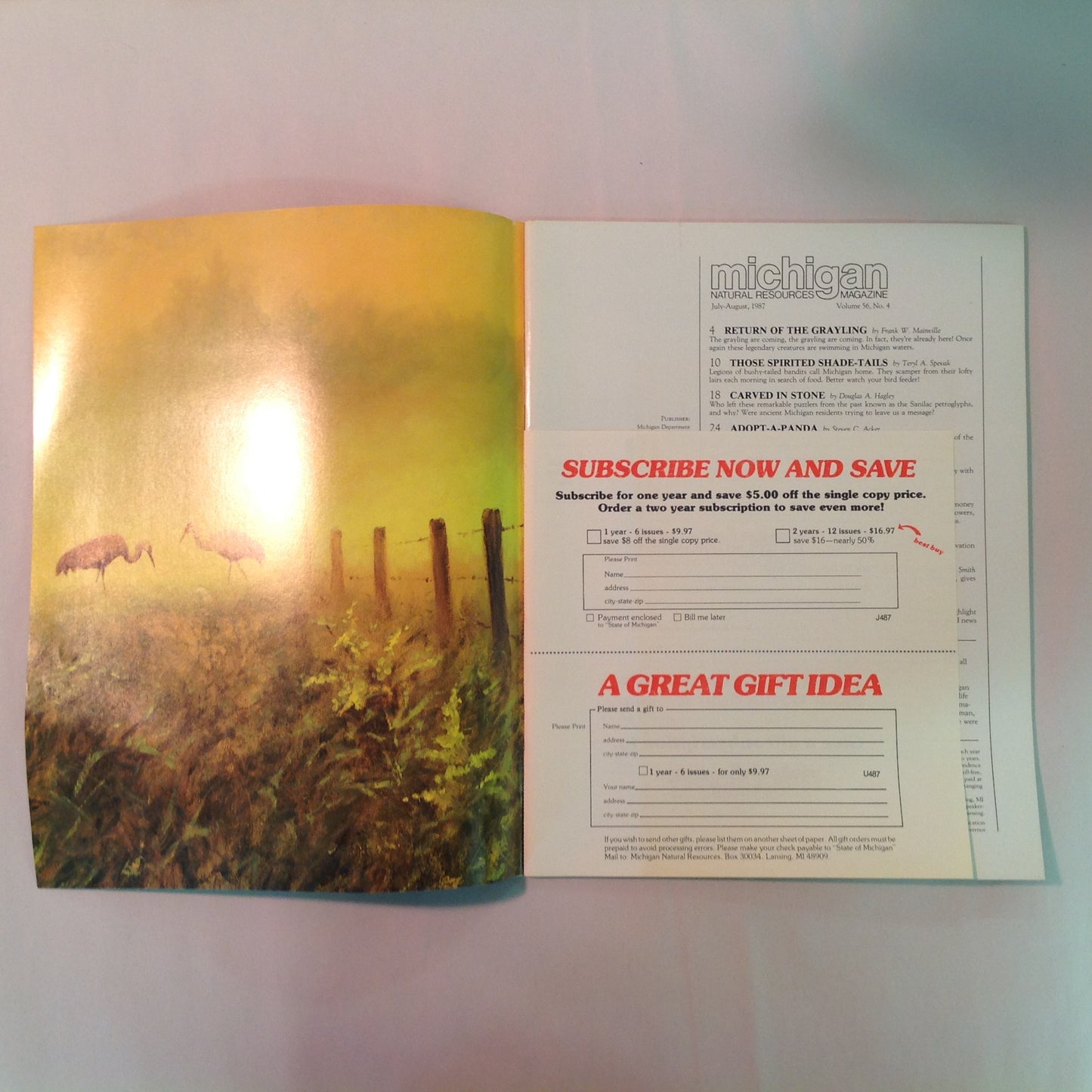Vintage Jul-Aug 1987 Michigan Natural Resources Magazine The Graylings Are Coming