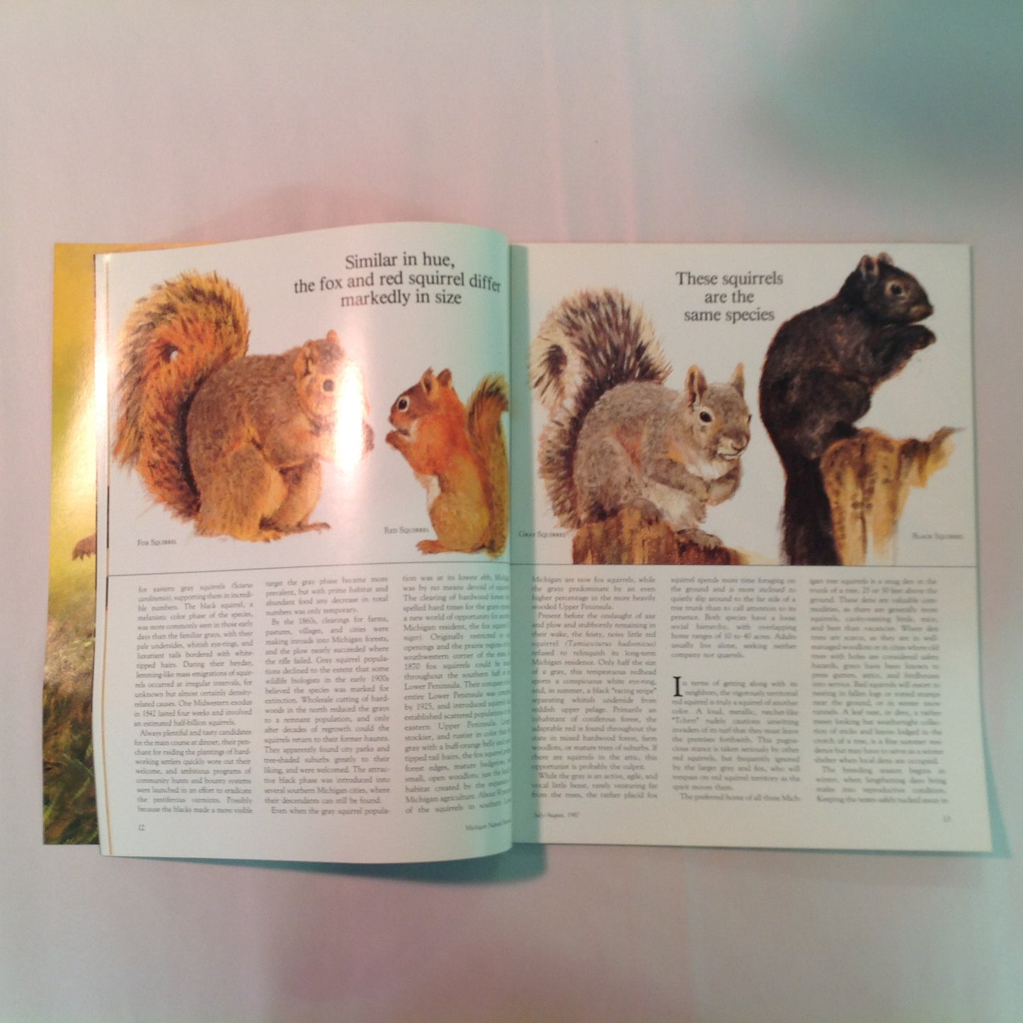 Vintage Jul-Aug 1987 Michigan Natural Resources Magazine The Graylings Are Coming