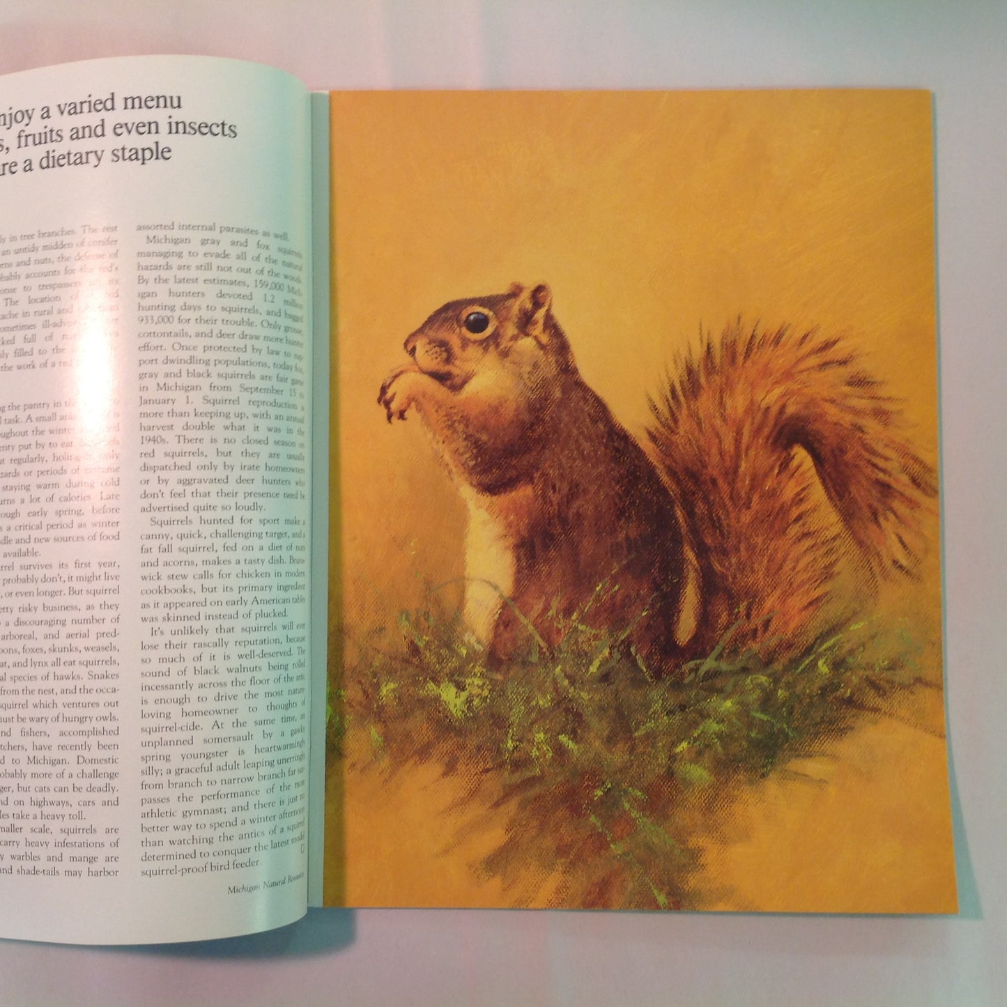Vintage Jul-Aug 1987 Michigan Natural Resources Magazine The Graylings Are Coming