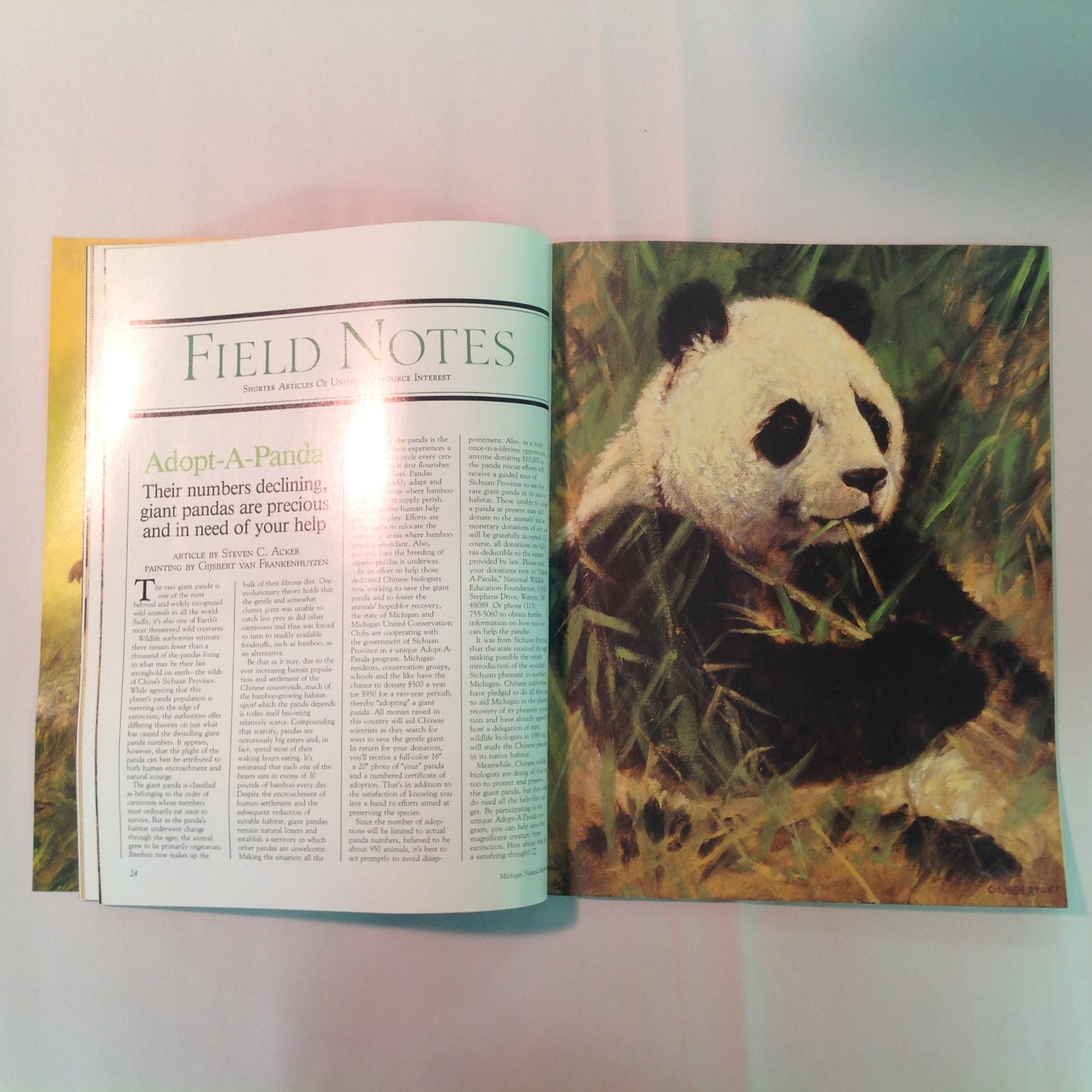 Vintage Jul-Aug 1987 Michigan Natural Resources Magazine The Graylings Are Coming