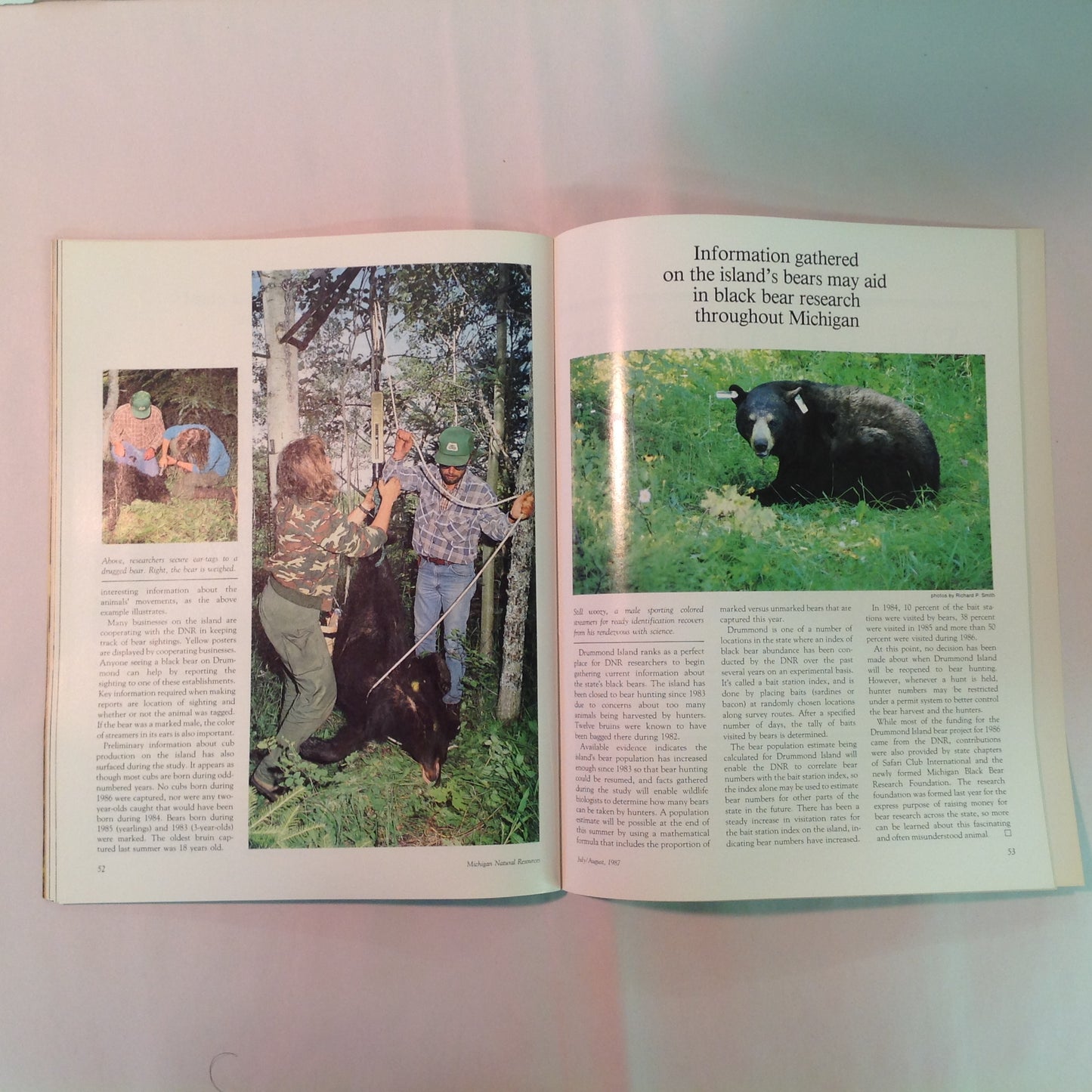 Vintage Jul-Aug 1987 Michigan Natural Resources Magazine The Graylings Are Coming