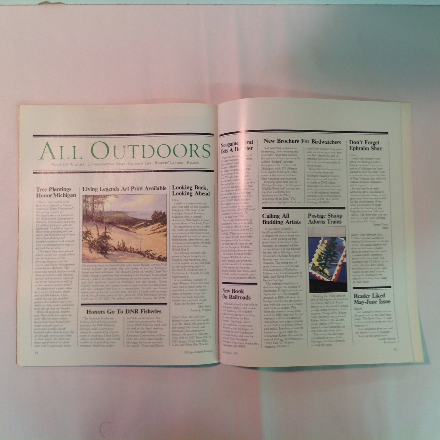 Vintage Jul-Aug 1987 Michigan Natural Resources Magazine The Graylings Are Coming
