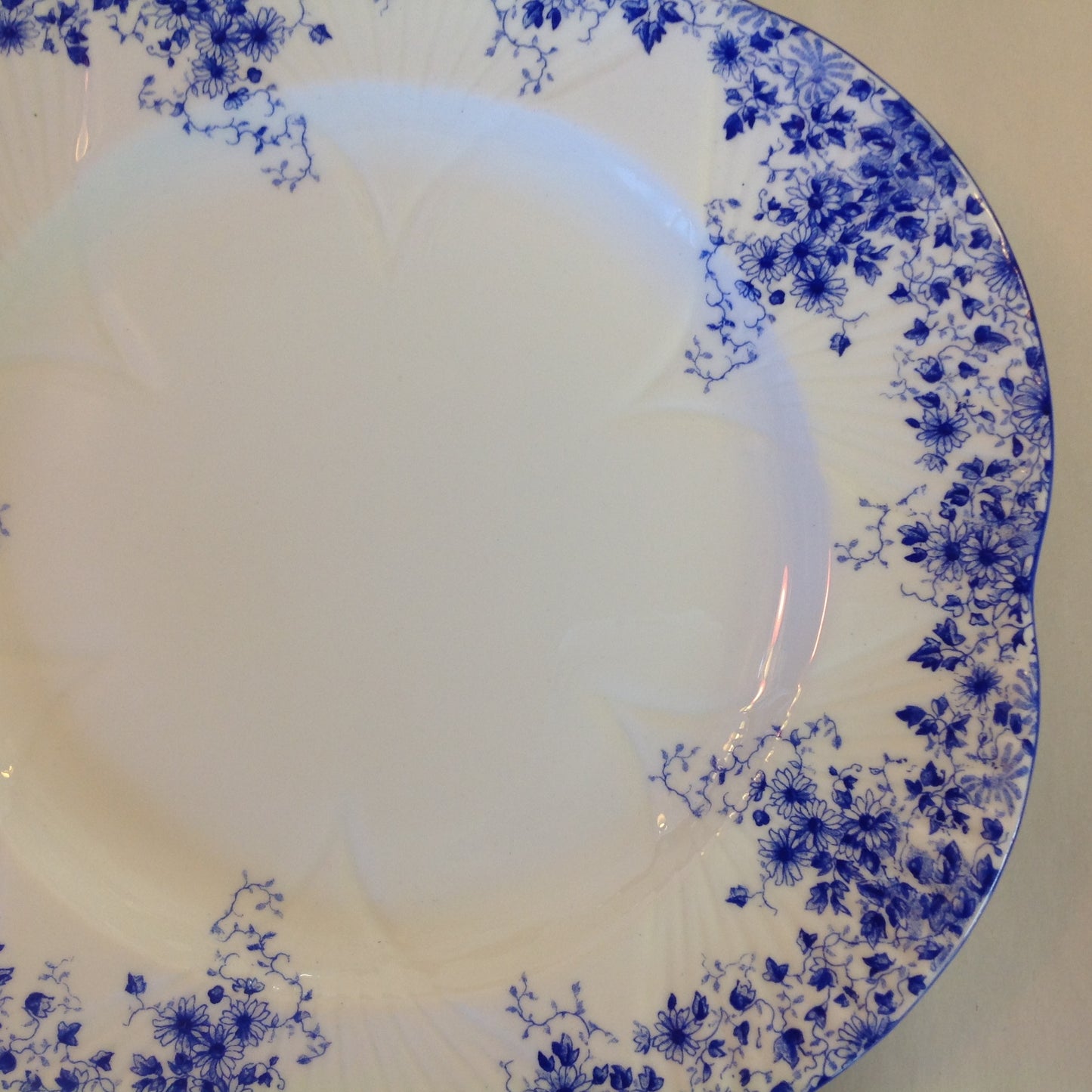 Antique Shelley Dainty Blue Fine Bone China Dinner Plate