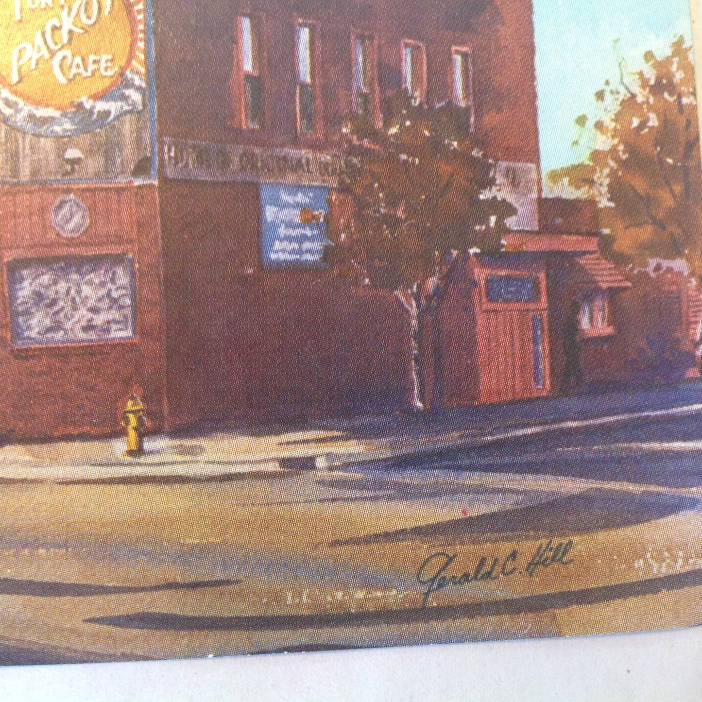 Vintage Souvenir Postcard Tony Packo's Cafe Toledo Ohio Gerald Hill Painting Packo's Hot Dog