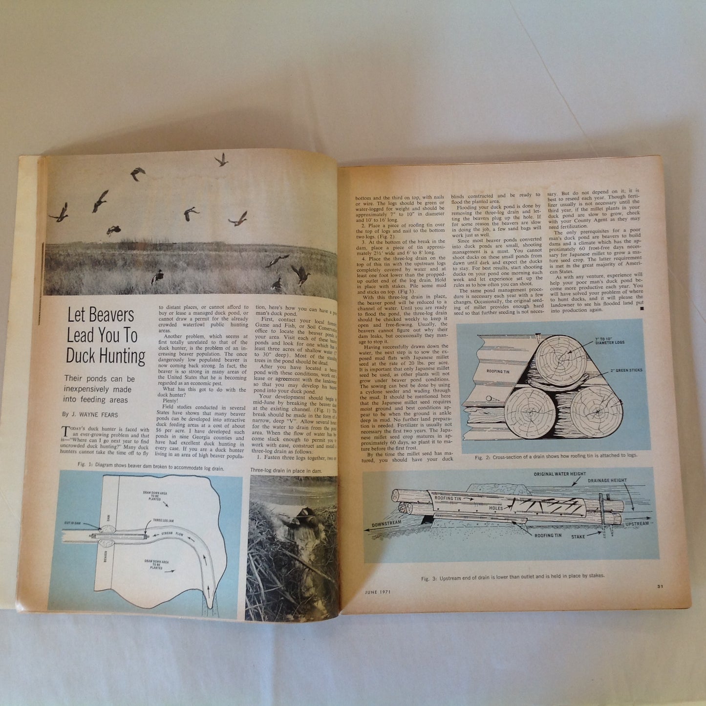 Vintage Jun 1971 American Rifleman Magazine Everyone's Cartridge--The Versatile .22 Rimfire