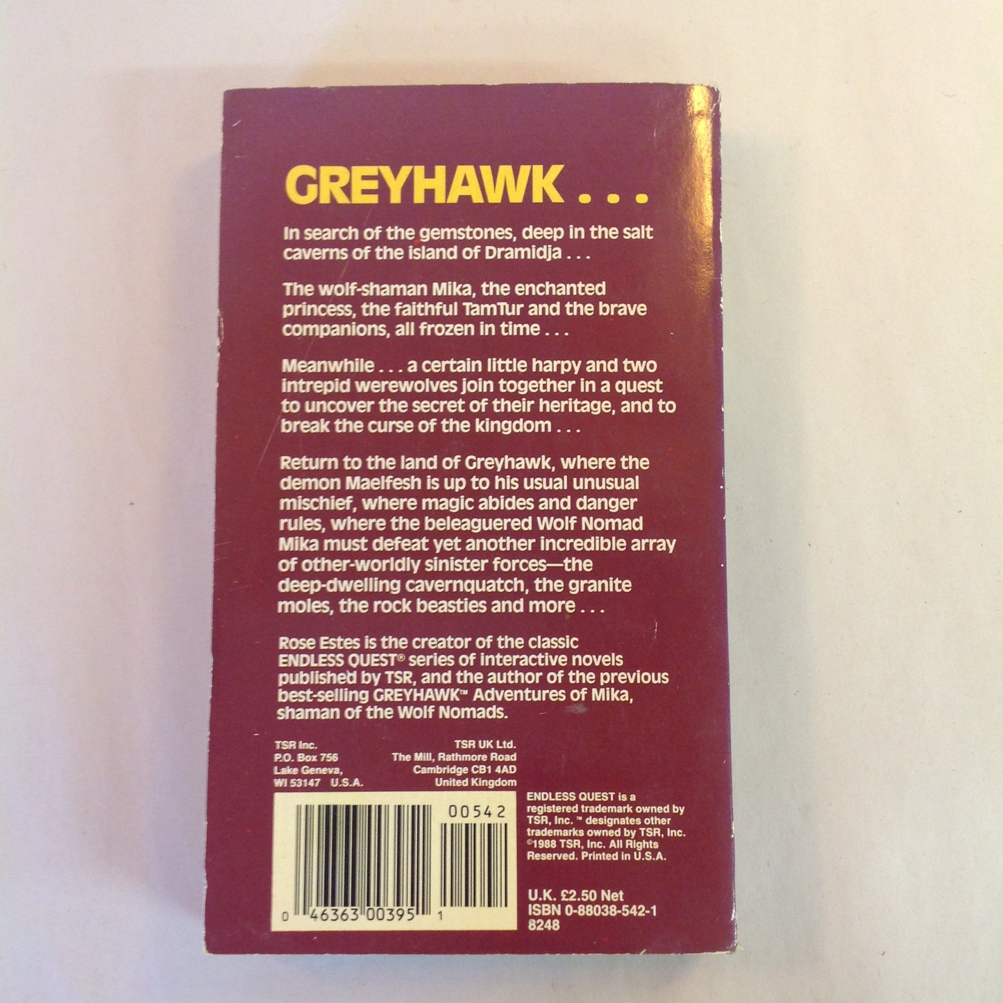 Vintage 1988 Mass Market Paperback Greyhawk Adventures: The Demon Hand Rose Estes TSR First Printing