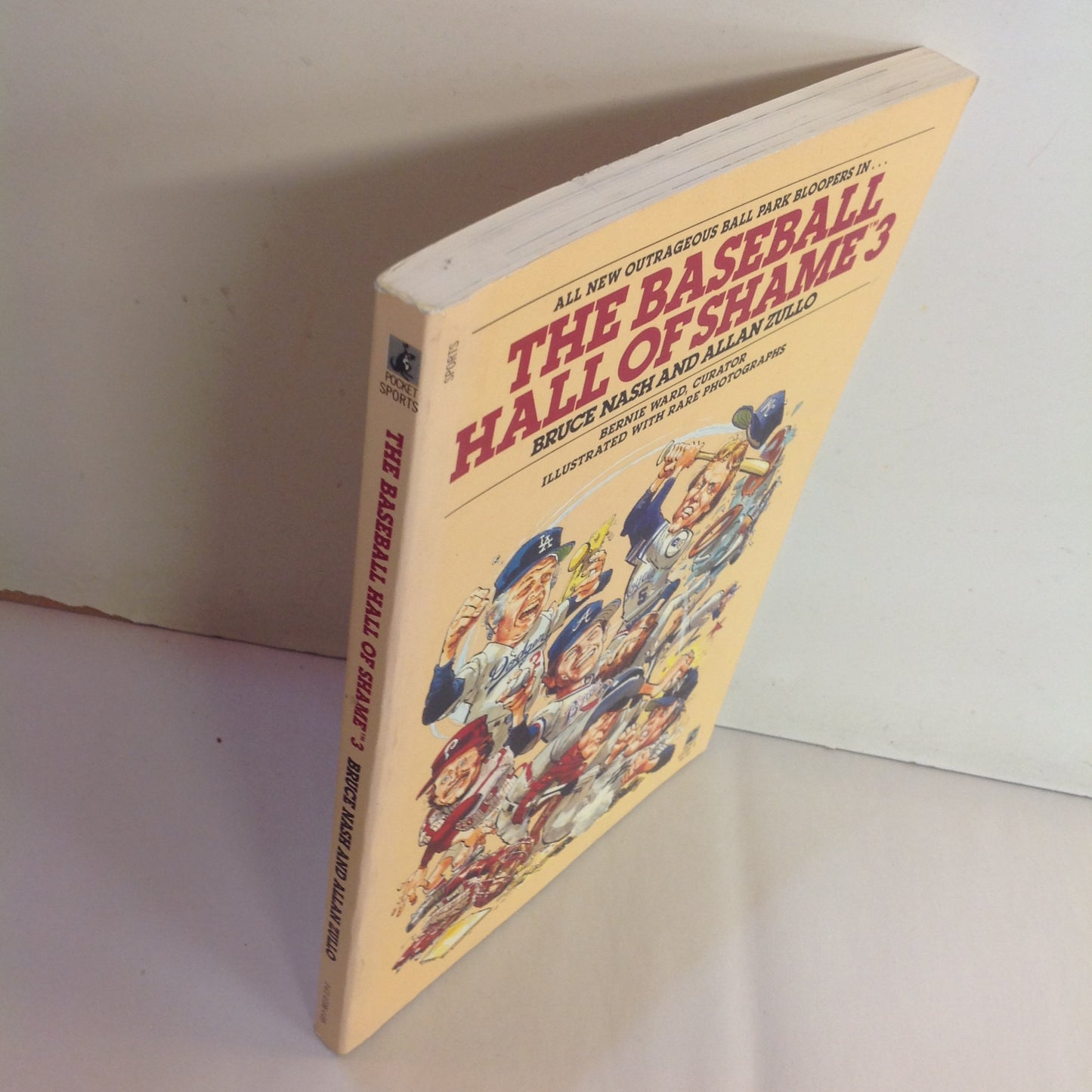 Vintage 1987 Trade Paperback The Baseball Hall of Shame 3 Bruce Nash and Allan Zullo