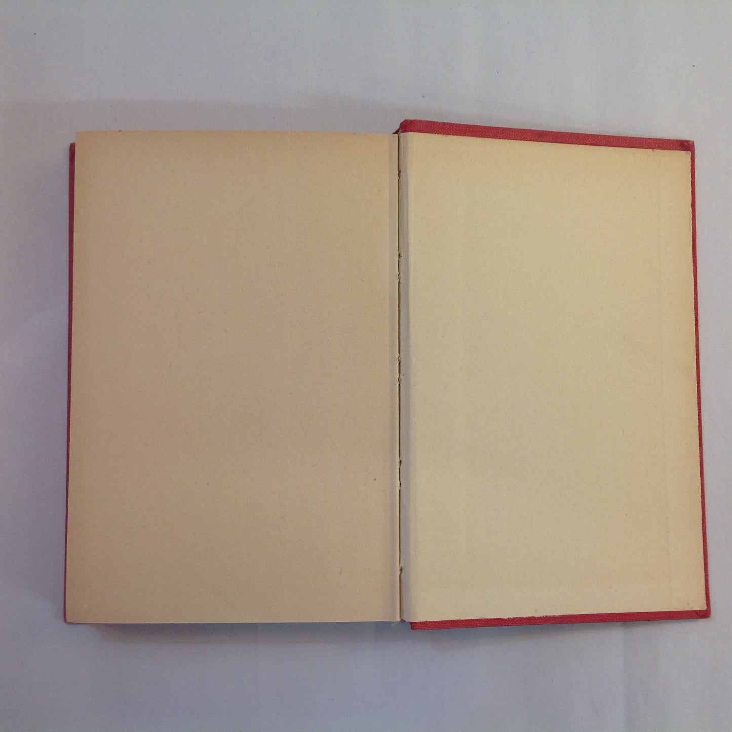 Antique 1921 Hardcover Nancy of Paradise Cottage Shirley Watkins Goldsmith First