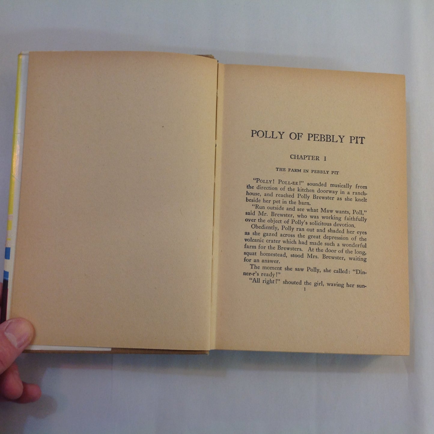 Antique 1922 Hardcover Polly of Pebbly Pit Lillian Elizabeth Roy Whitman First