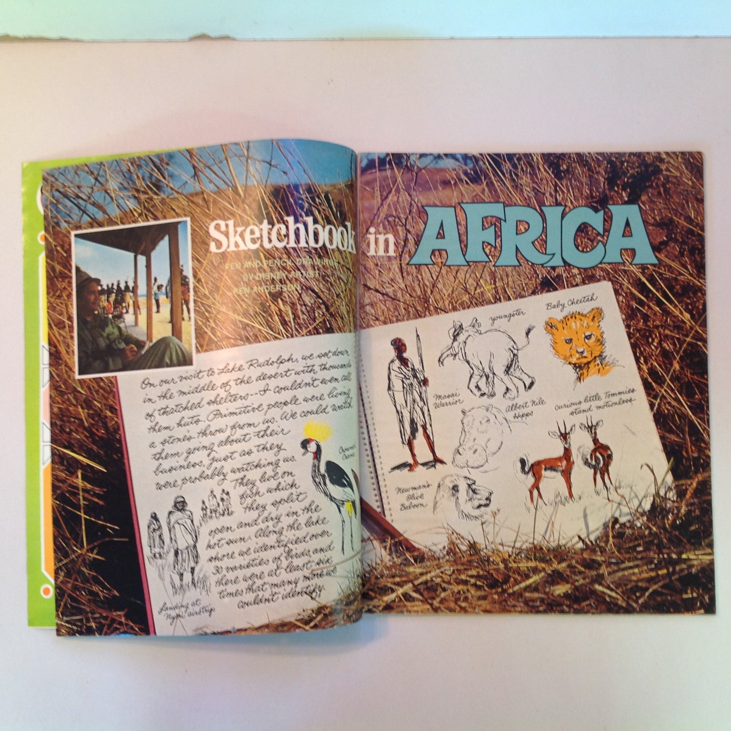 Vintage 1970 Wonderful World of Disney Magazine Vol 2 No 1 Africa Sketchbook Fun