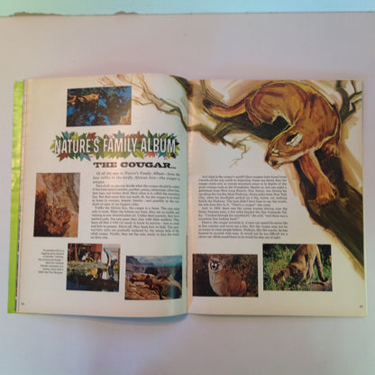 Vintage 1970 Wonderful World of Disney Magazine Vol 2 No 1 Africa Sketchbook Fun