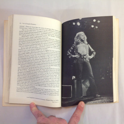 Vintage 1976 Trade Paperback LED ZEP: The Led Zeppelin Biography Ritchie Yorke