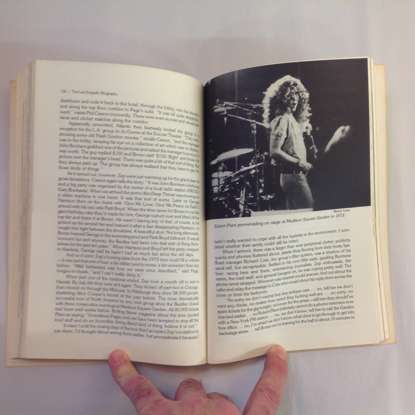 Vintage 1976 Trade Paperback LED ZEP: The Led Zeppelin Biography Ritchie Yorke