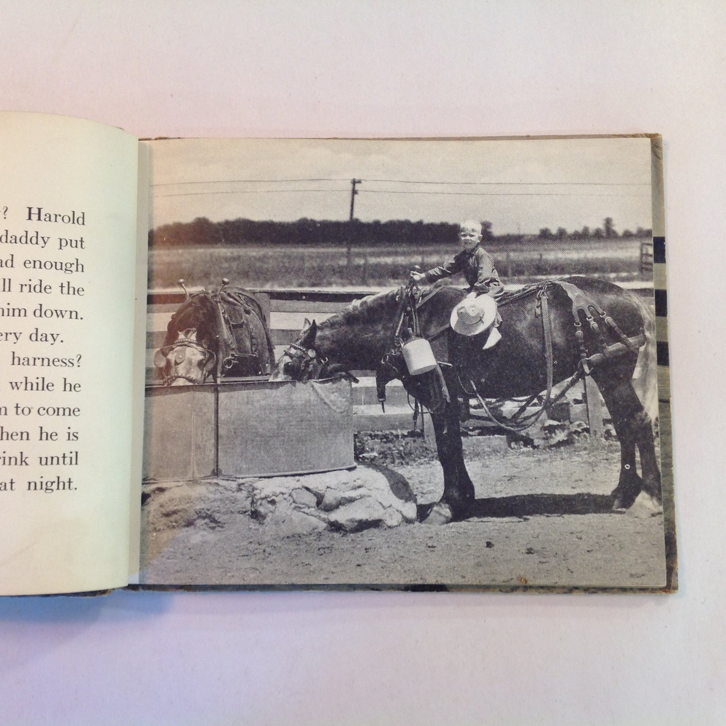 Vintage 1936 Children's Hardcover Farm Pets John Beaty JC Allen Rand McNally Board