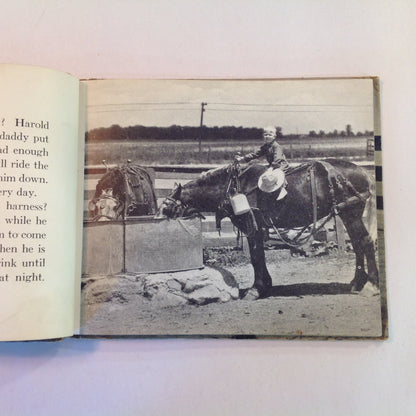 Vintage 1936 Children's Hardcover Farm Pets John Beaty JC Allen Rand McNally Board