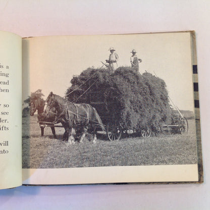 Vintage 1936 Children's Hardcover Farm Pets John Beaty JC Allen Rand McNally Board