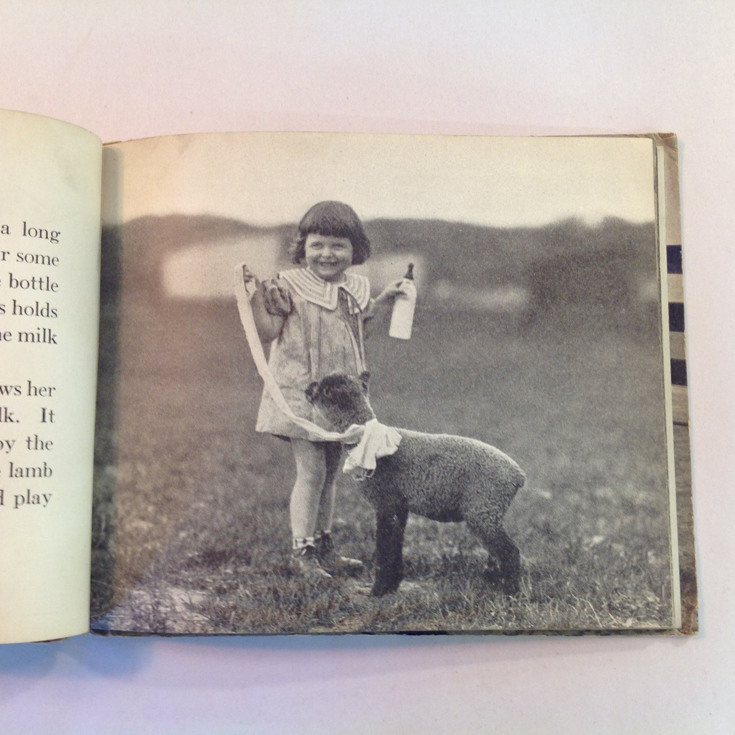 Vintage 1936 Children's Hardcover Farm Pets John Beaty JC Allen Rand McNally Board