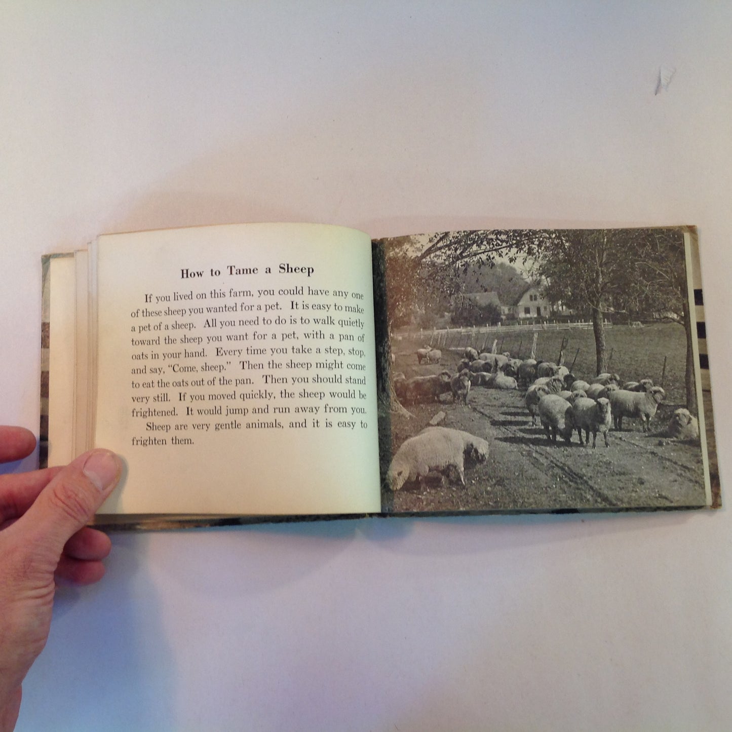 Vintage 1936 Children's Hardcover Farm Pets John Beaty JC Allen Rand McNally Board