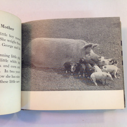 Vintage 1936 Children's Hardcover Farm Pets John Beaty JC Allen Rand McNally Board