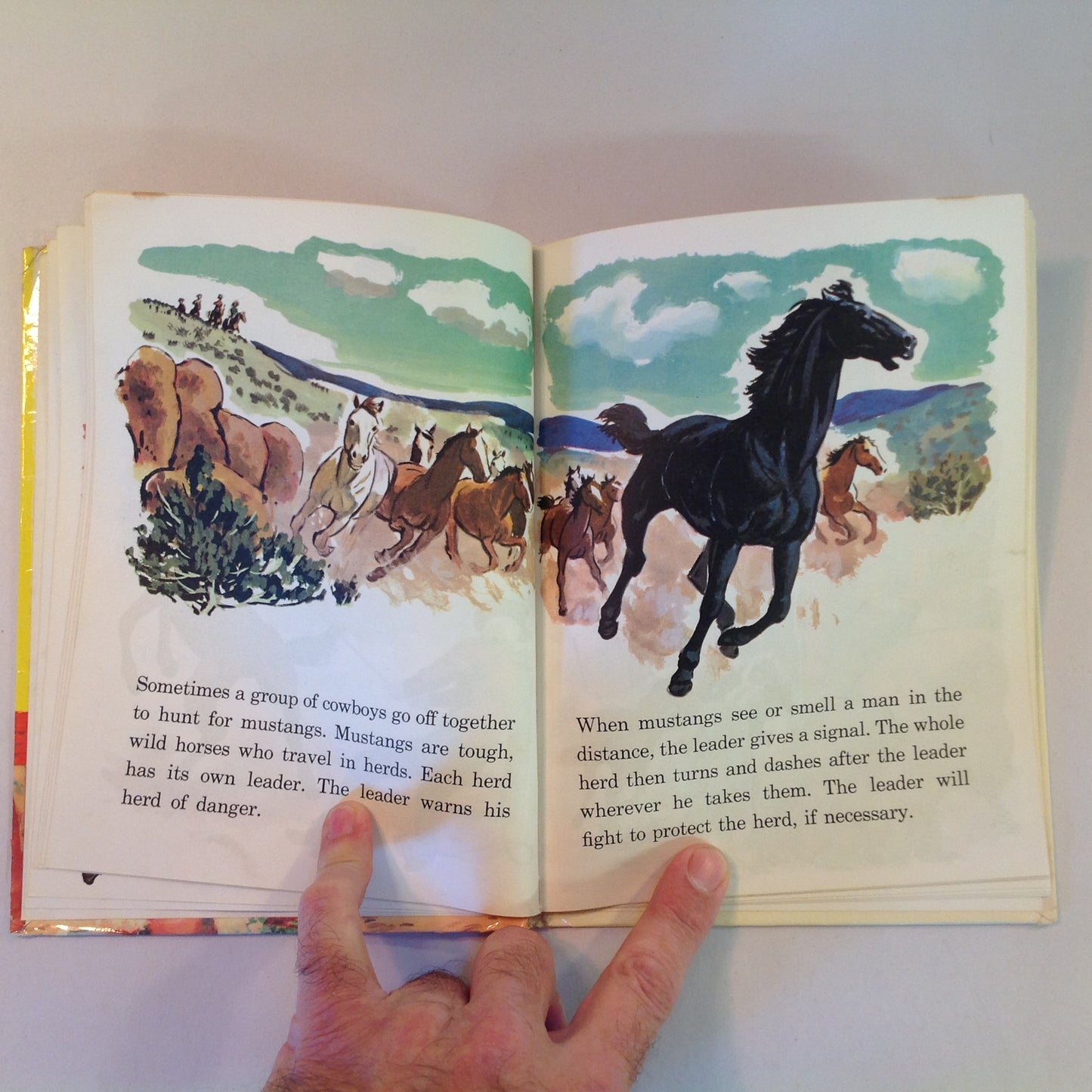 Vintage 1963 Children's Hardcover Cowboys Rand McNally Tip-Top Elf Book