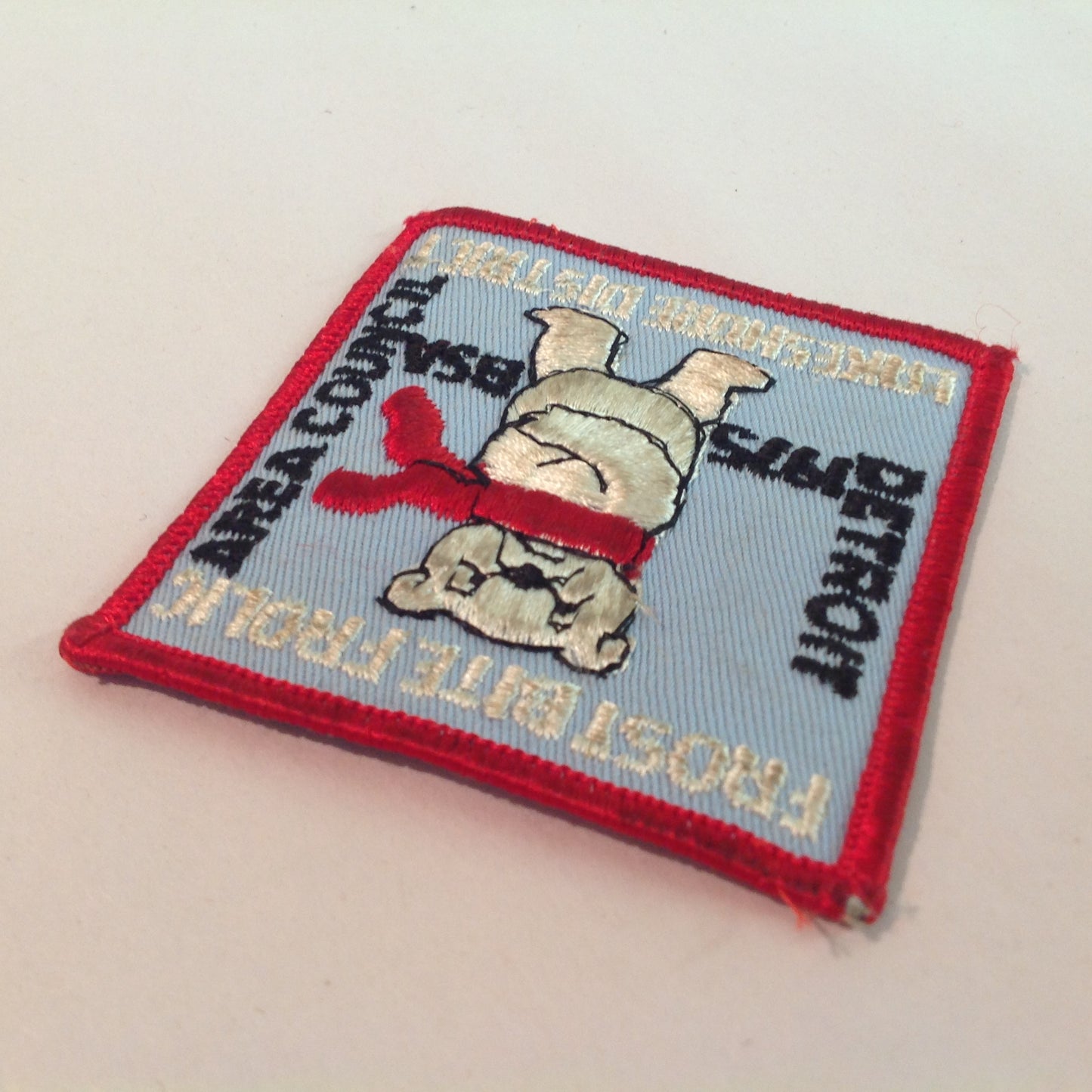 Vintage BSA Boys Scouts of America Patch DAC Frost Bite Frolic 1975 Lakeshore District