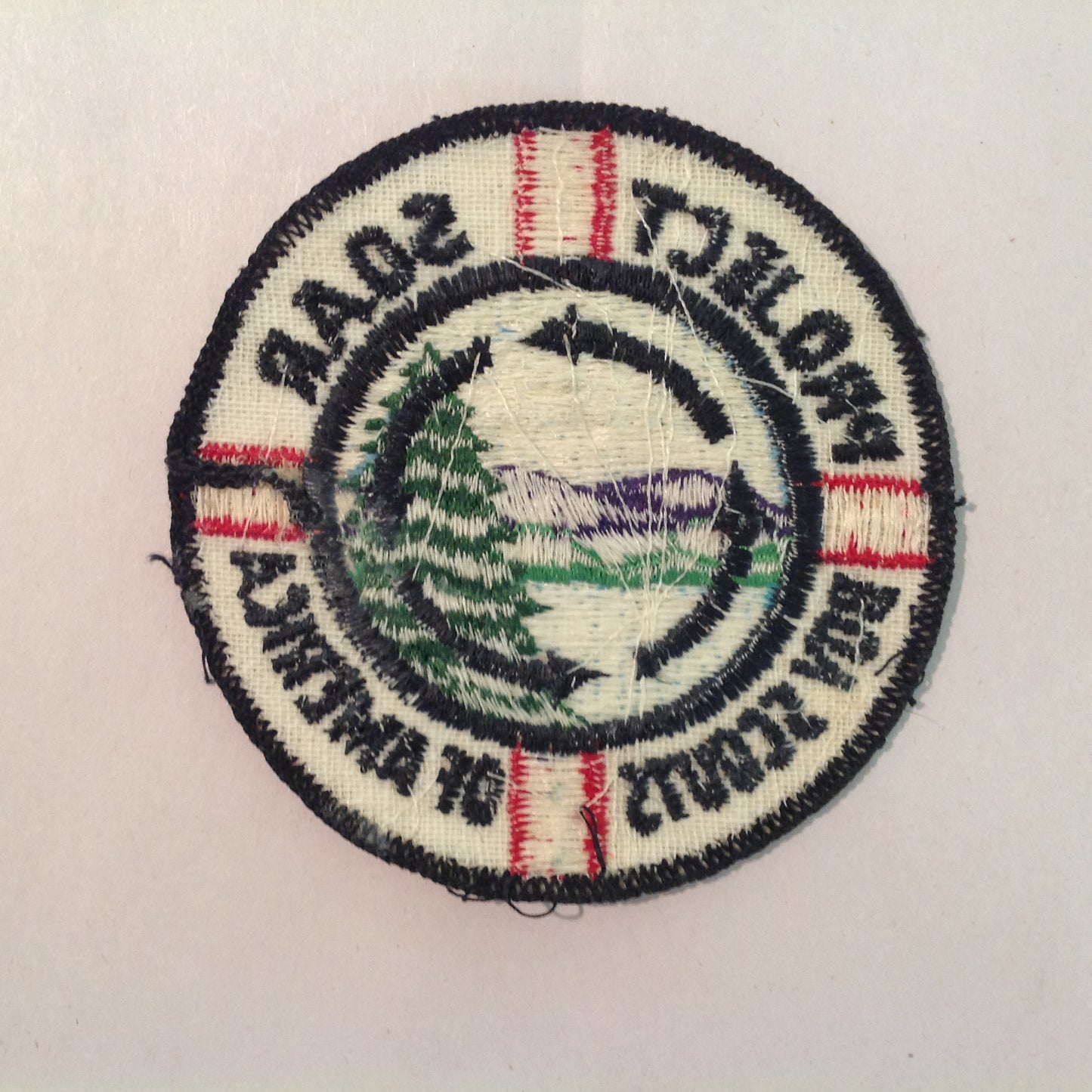 Vintage Boy Scouts of America BSA Patch Project SOAR