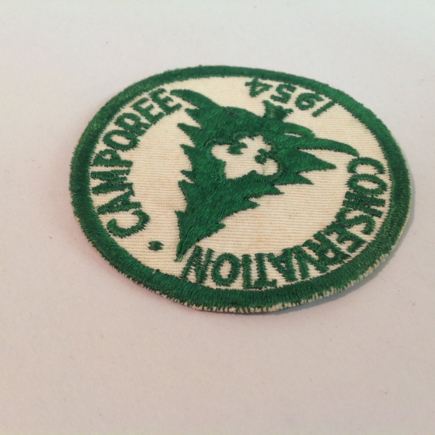 Vintage 1954 Boy Scouts of America BSA Patch Conservation Camporee Pine Tree