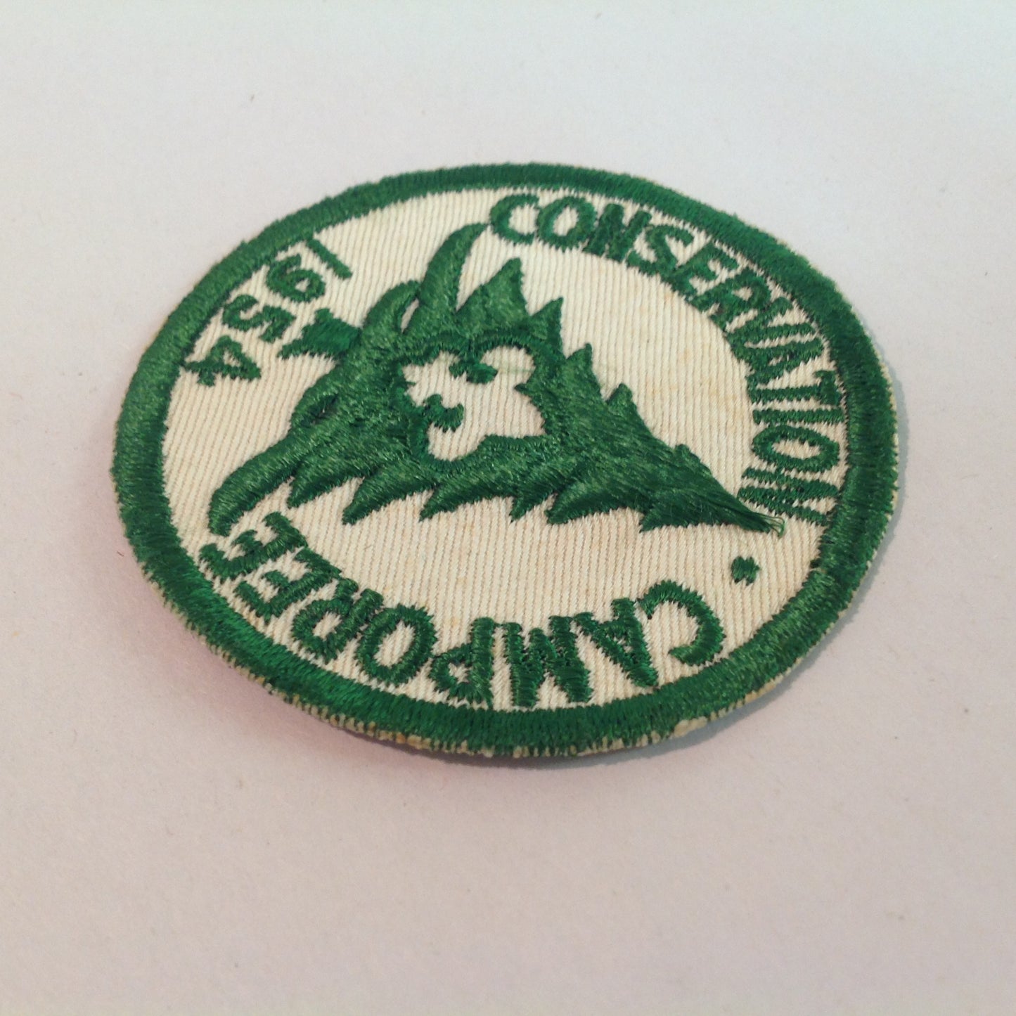 Vintage 1954 Boy Scouts of America BSA Patch Conservation Camporee Pine Tree