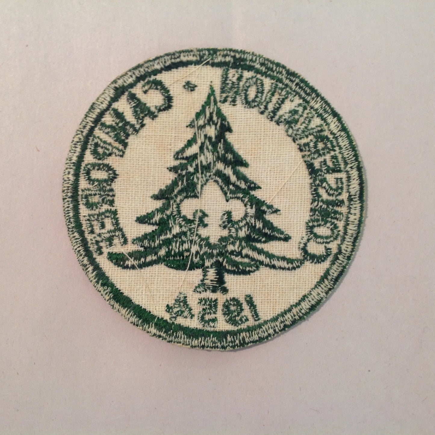 Vintage 1954 Boy Scouts of America BSA Patch Conservation Camporee Pine Tree