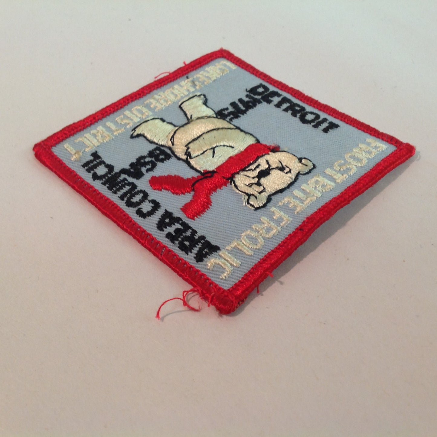Vintage BSA Boys Scouts of America Patch DAC Frost Bite Frolic 1975 Lakeshore District