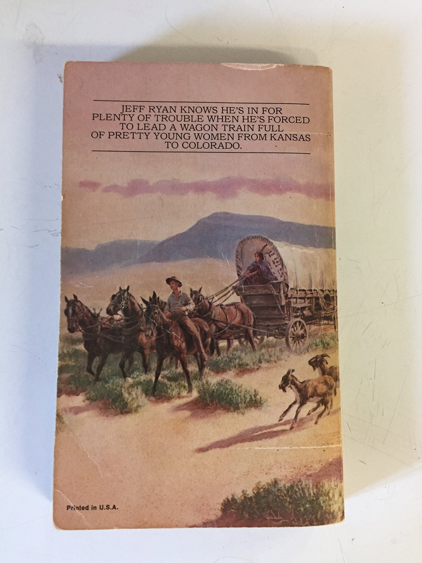 Vintage 1978 Mass Market Paperback Petticoat Wagon Train Wayne C. Lee ACE Books First Printing