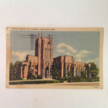 Vintage 1945 New Haven Novelty Co Color Postcard Peabody Museum at Yale University New Haven Connecticut