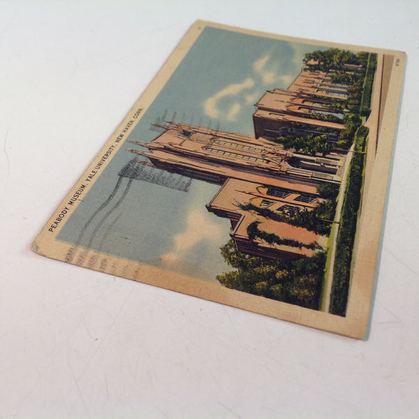 Vintage 1945 New Haven Novelty Co Color Postcard Peabody Museum at Yale University New Haven Connecticut