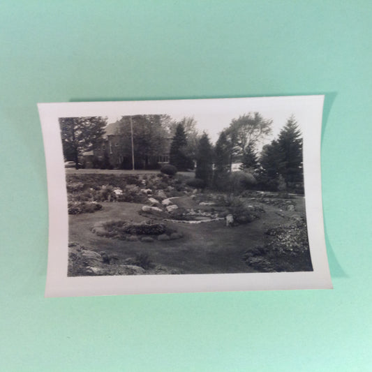 Vintage Mid Century B&W Photo Holland Michigan Tulip Festival Idyllic Garden