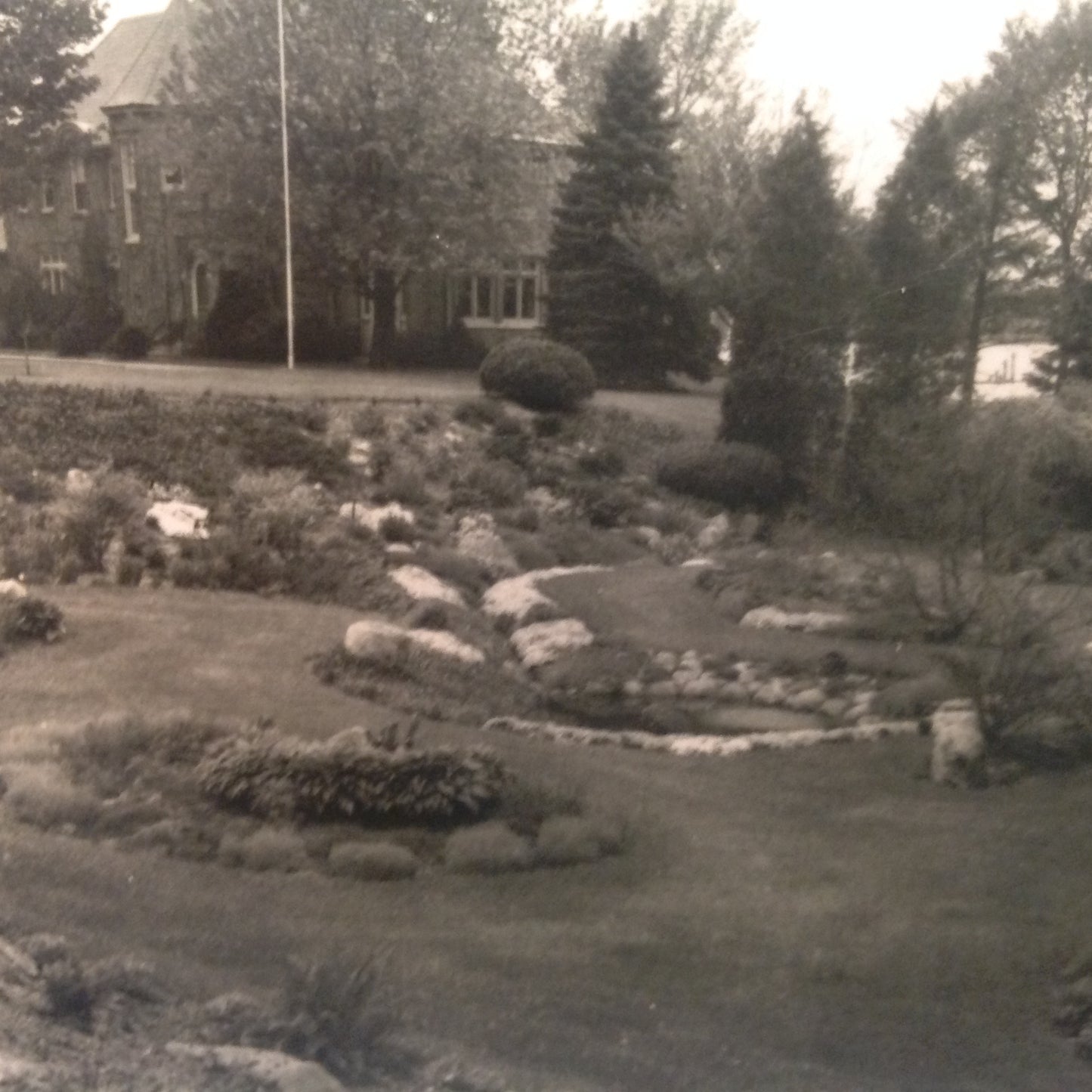 Vintage Mid Century B&W Photo Holland Michigan Tulip Festival Idyllic Garden