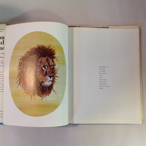 Vintage 1974 Children's Picture Book LION AND BLUE Hardcover with Dust Jacket