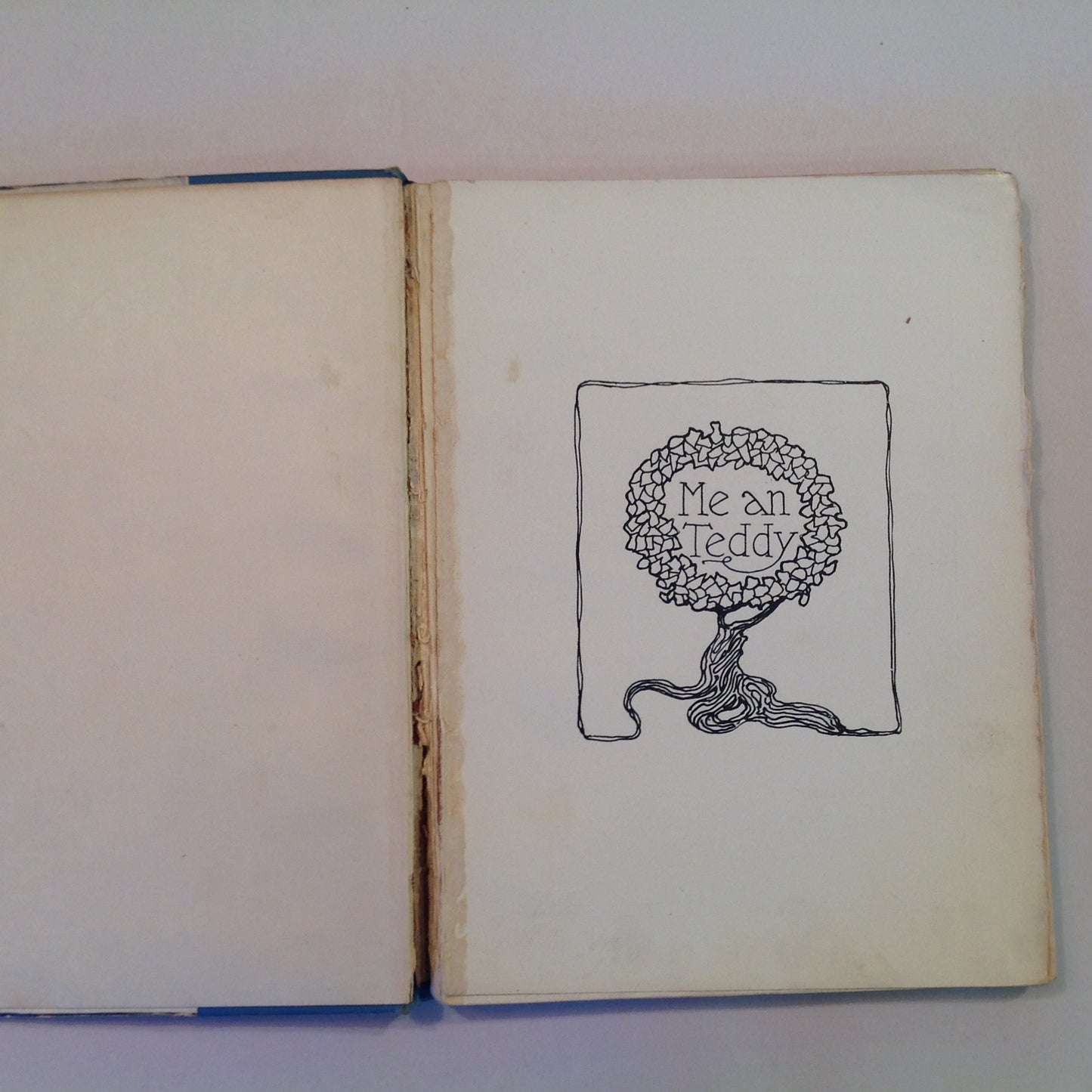 Antique 1906 Children's Hardcover Me An' Teddy LeRoy Hooker Will Garqueville First Edition