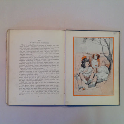 Antique 1906 Children's Hardcover Me An' Teddy LeRoy Hooker Will Garqueville First Edition