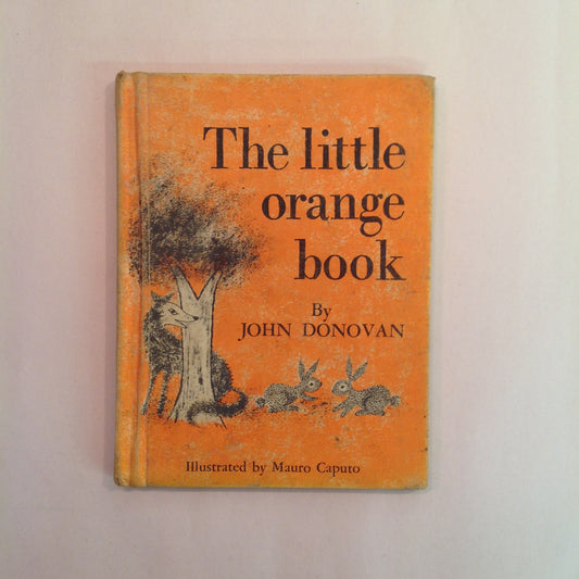 Vintage 1961 Children's Hardcover The Little Orange Book John Donovan Mauro Caputo First Ed