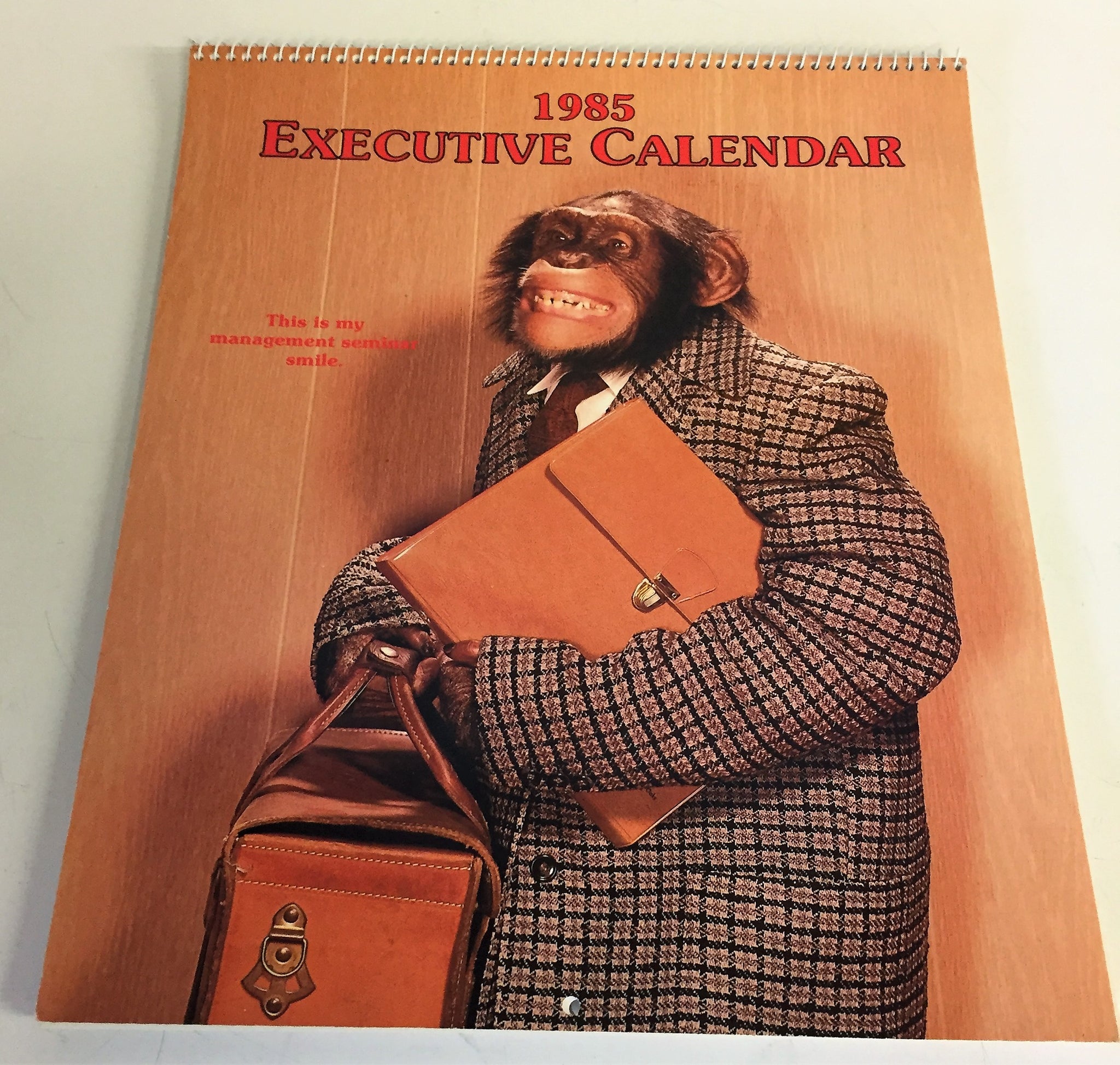 Vintage 1985 Executive Calendar Monkey Posing Gibson Greeting Cards