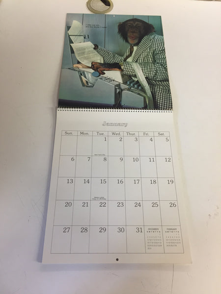 Vintage 1985 Executive Calendar Monkey Posing Gibson Greeting Cards