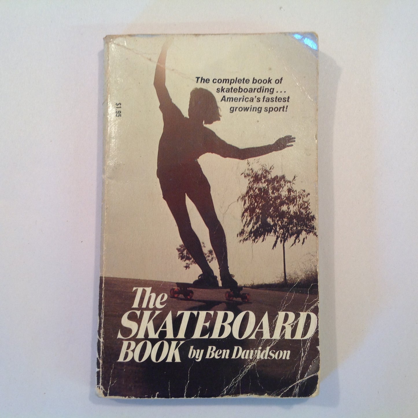 Vintage 1976 Mass Market Paperback The Skateboard Book Ben Davidson Tempo First Edition