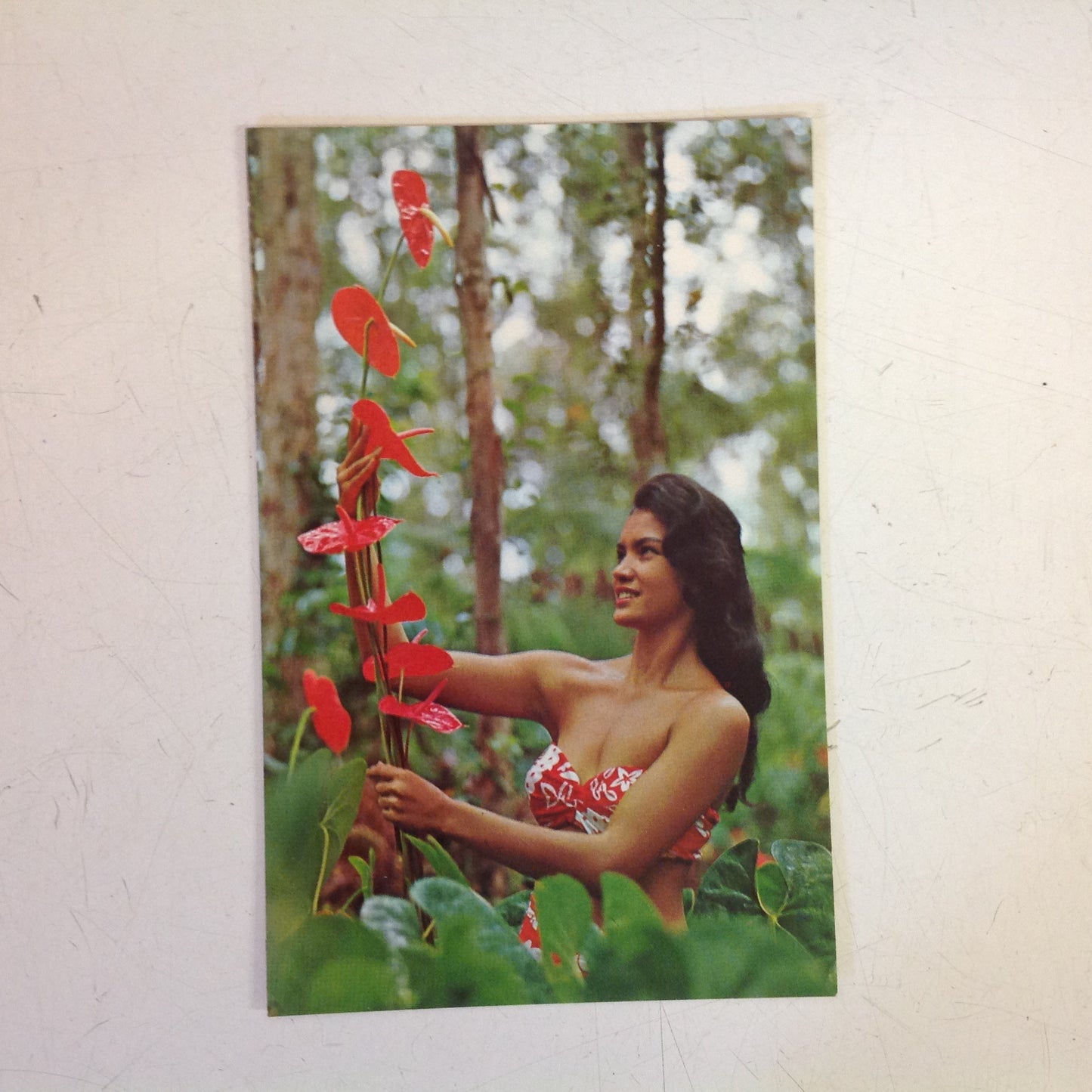 Vintage Color Postcard Hawaiian Antheriums