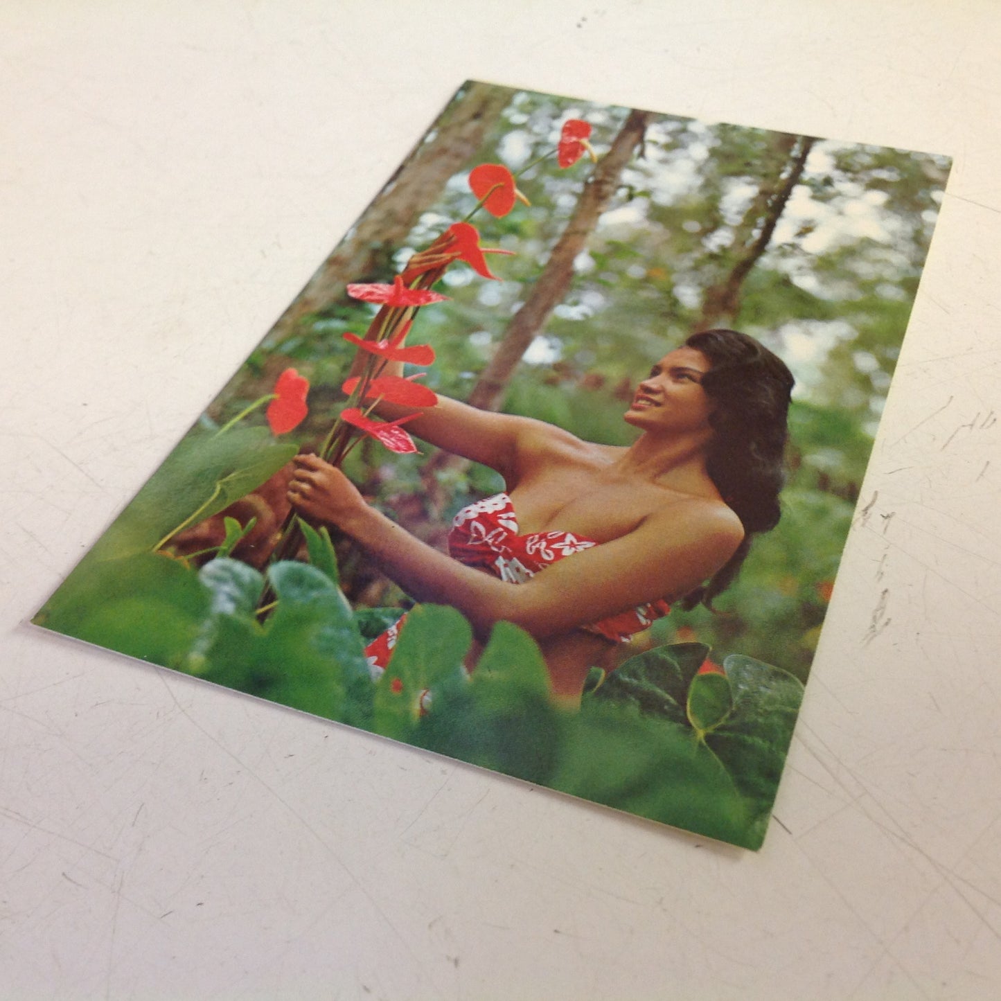 Vintage Color Postcard Hawaiian Antheriums