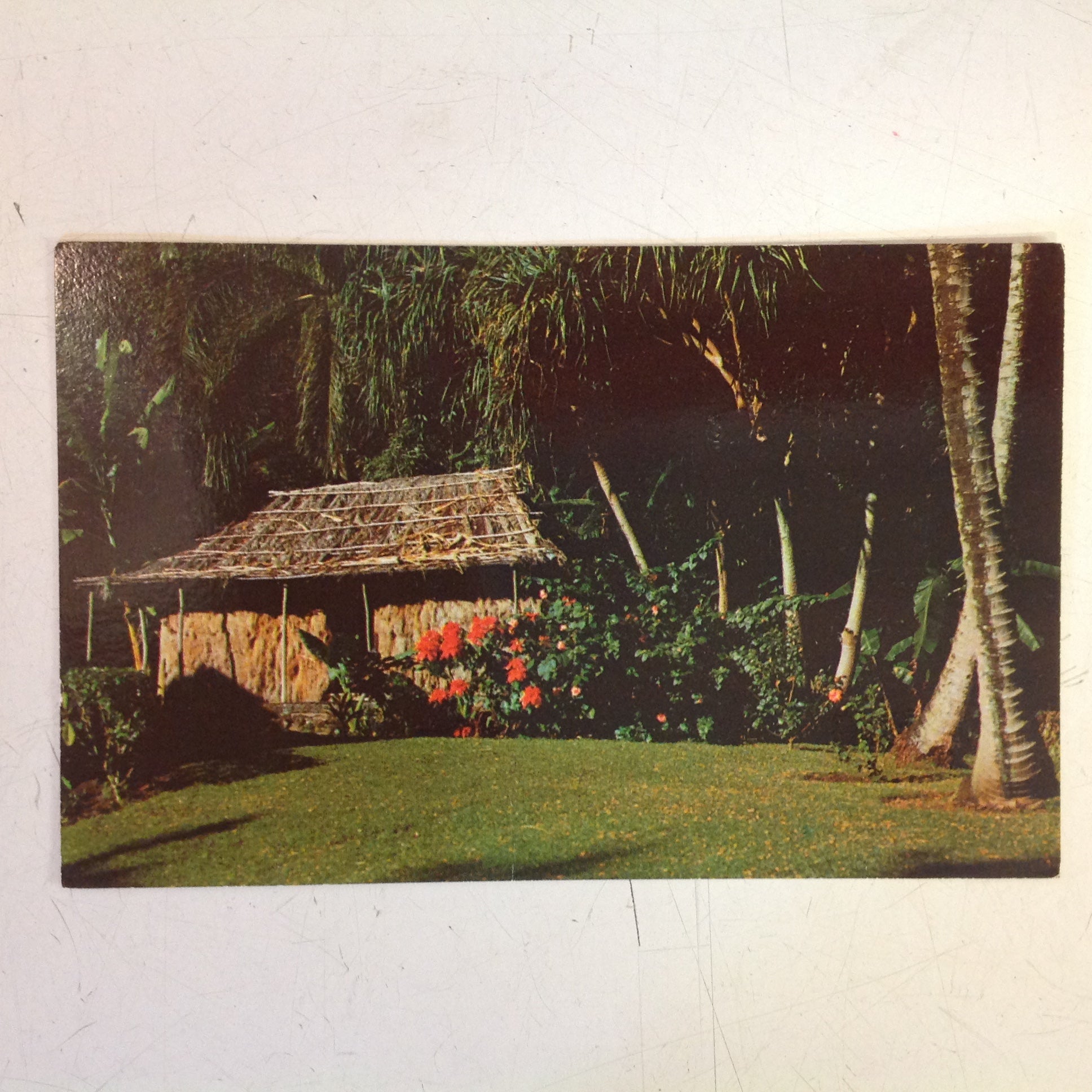 Vintage Color Postcard Princess Kaiulani Robert Louis Stevenson Grass Shack Waioli Tea Room Grounds