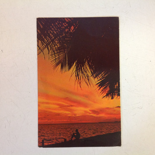 Vintage 1973 Color Postcard Florida Sunsets
